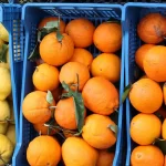 Valencia Farmers Oppose EU-Mercosur Trade Agreement