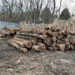 Why Cedar Wood is Among Best Choice for Fences