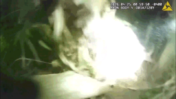Florida man ditches child in woods while fleeing Daytona Beach police